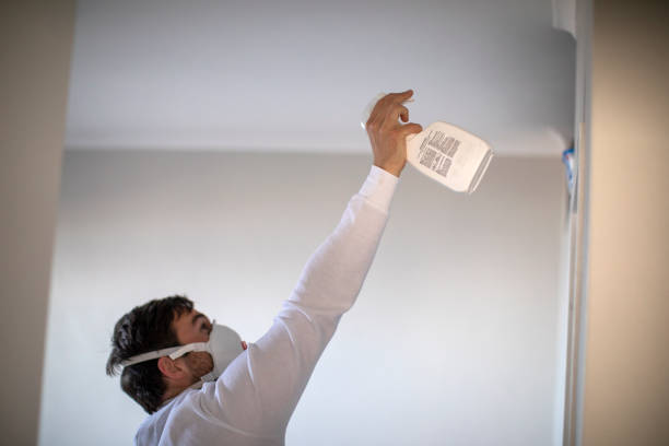 Best DIY Mold Remediation Support Services in Morton, IL