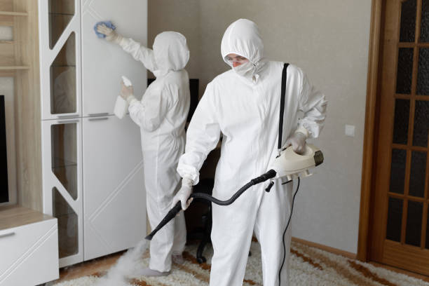 Best HVAC Mold Remediation in Morton, IL