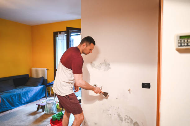 Best Basement Mold Remediation in Morton, IL